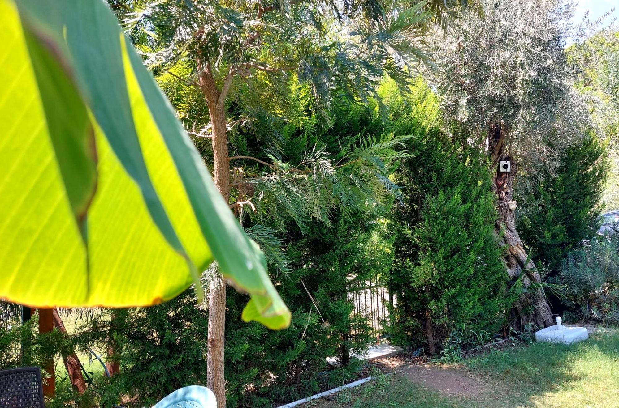 Palmiyem Apart Otel Seferihisar Dış mekan fotoğraf
